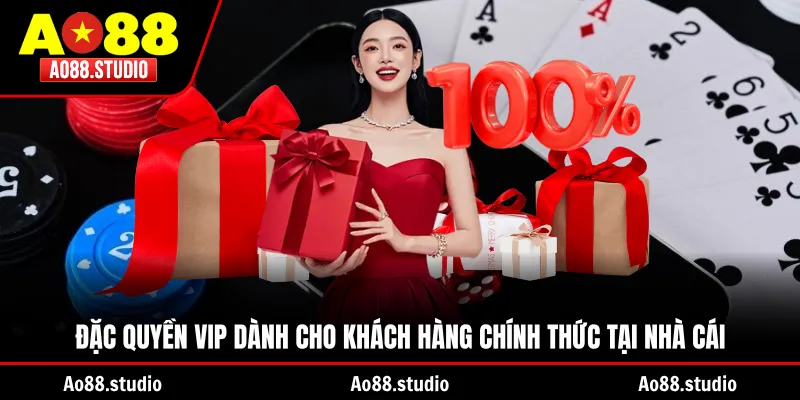 Đặc quyền vip dành cho khách hàng chính thức tại nhà cái