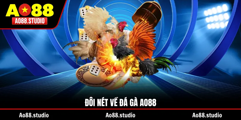 Đôi nét về đá gà AO88