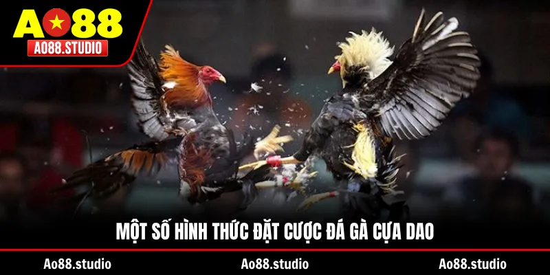 Một số hình thức đặt cược đá gà cựa dao